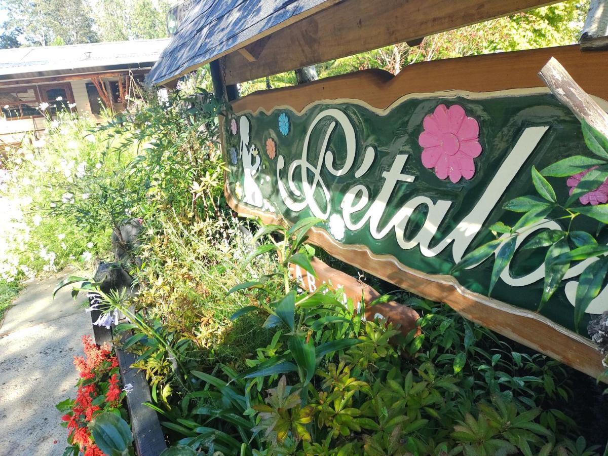 Complejo Cabanas Petalos Villarrica Exterior foto